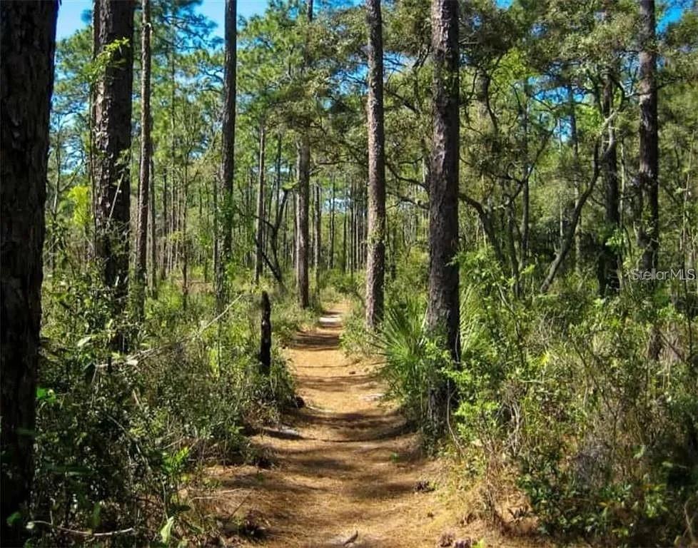 Berry Street Paisley, FL 32767 - Photo 4 of 6