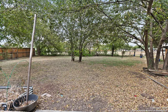 a view of a yard with trees