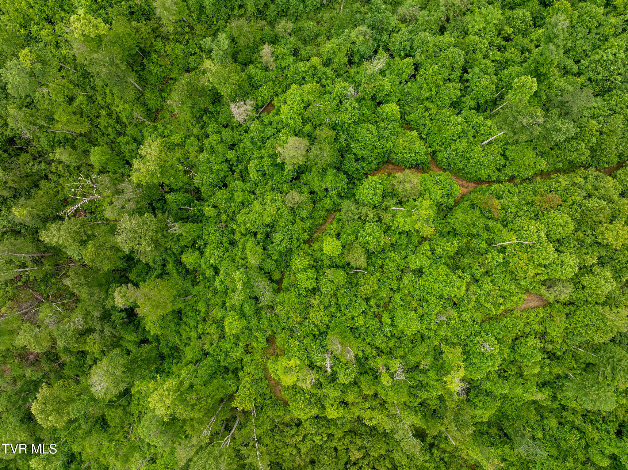 Tbd Walnut Mountain Road Butler, TN 37640 - Photo 11 of 36 DJI_0414