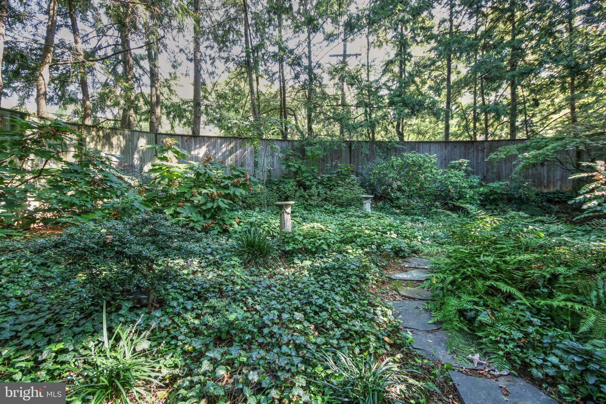 4020 Reno Road Northwest Washington, DC 20008 - Photo 41 of 61 Large and level yard