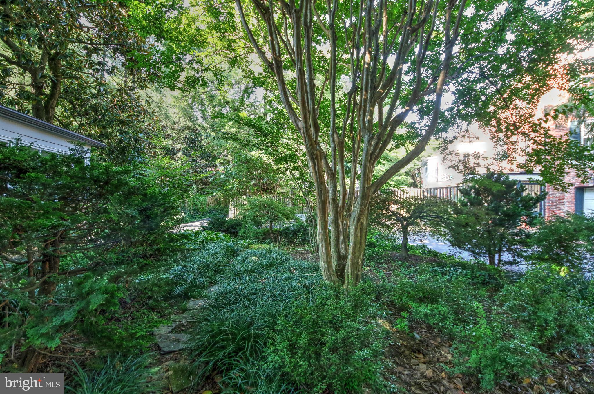4020 Reno Road Northwest Washington, DC 20008 - Photo 43 of 61 Side yard full of mature plantings