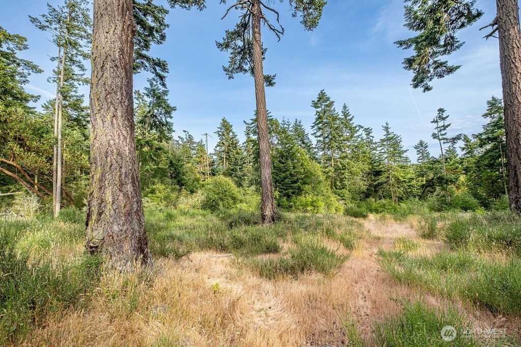 2463 Libbey Road Coupeville, WA 98239 - Photo 8 of 21 Gallery Image 8