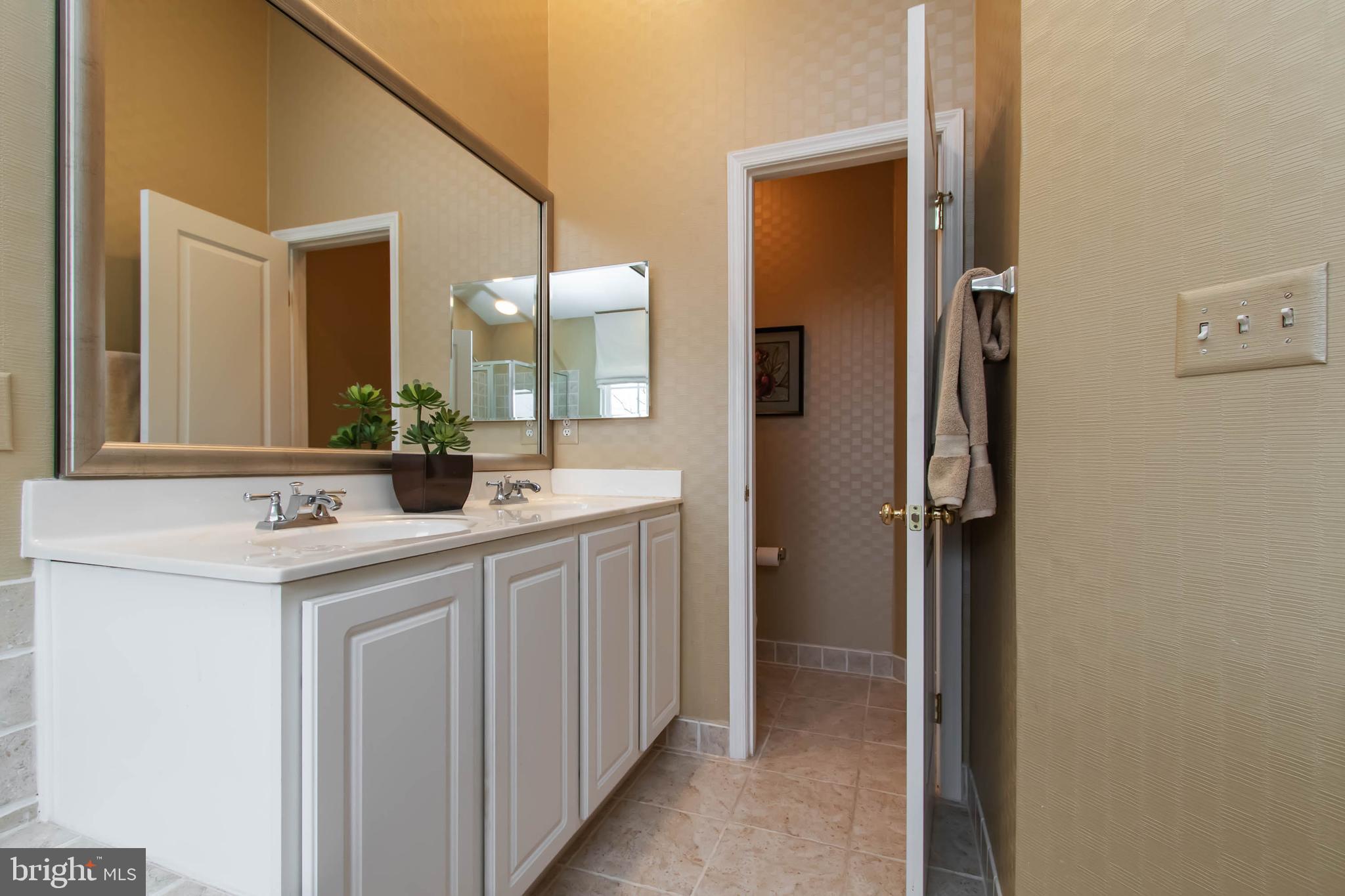 9185 Ribbon Falls Loop Bristow, VA 20136 - Photo 19 of 34 Master Bath with Raised Double Vanities