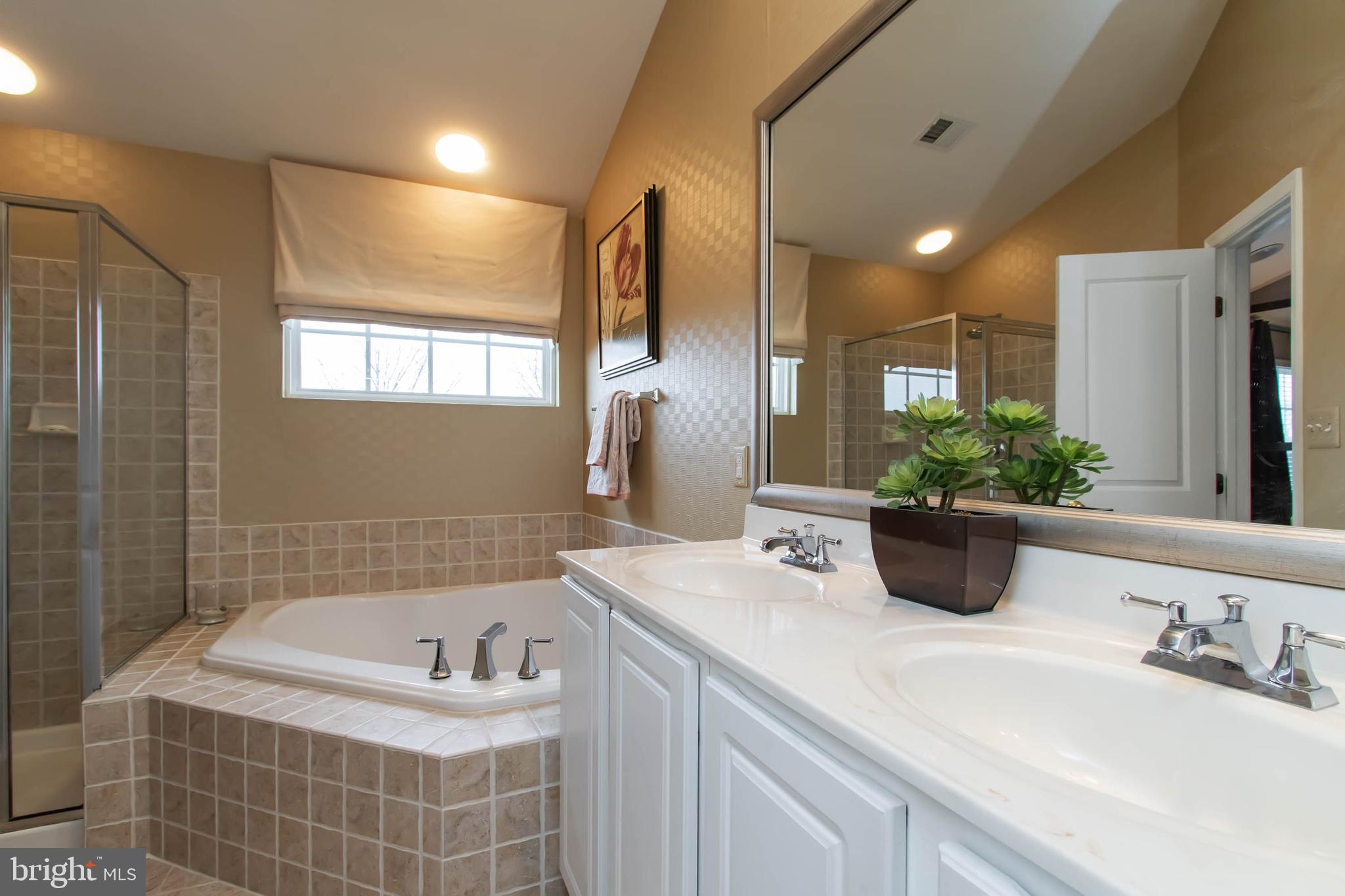 9185 Ribbon Falls Loop Bristow, VA 20136 - Photo 20 of 34 Master Bath with Soaring Vaulted Ceiling