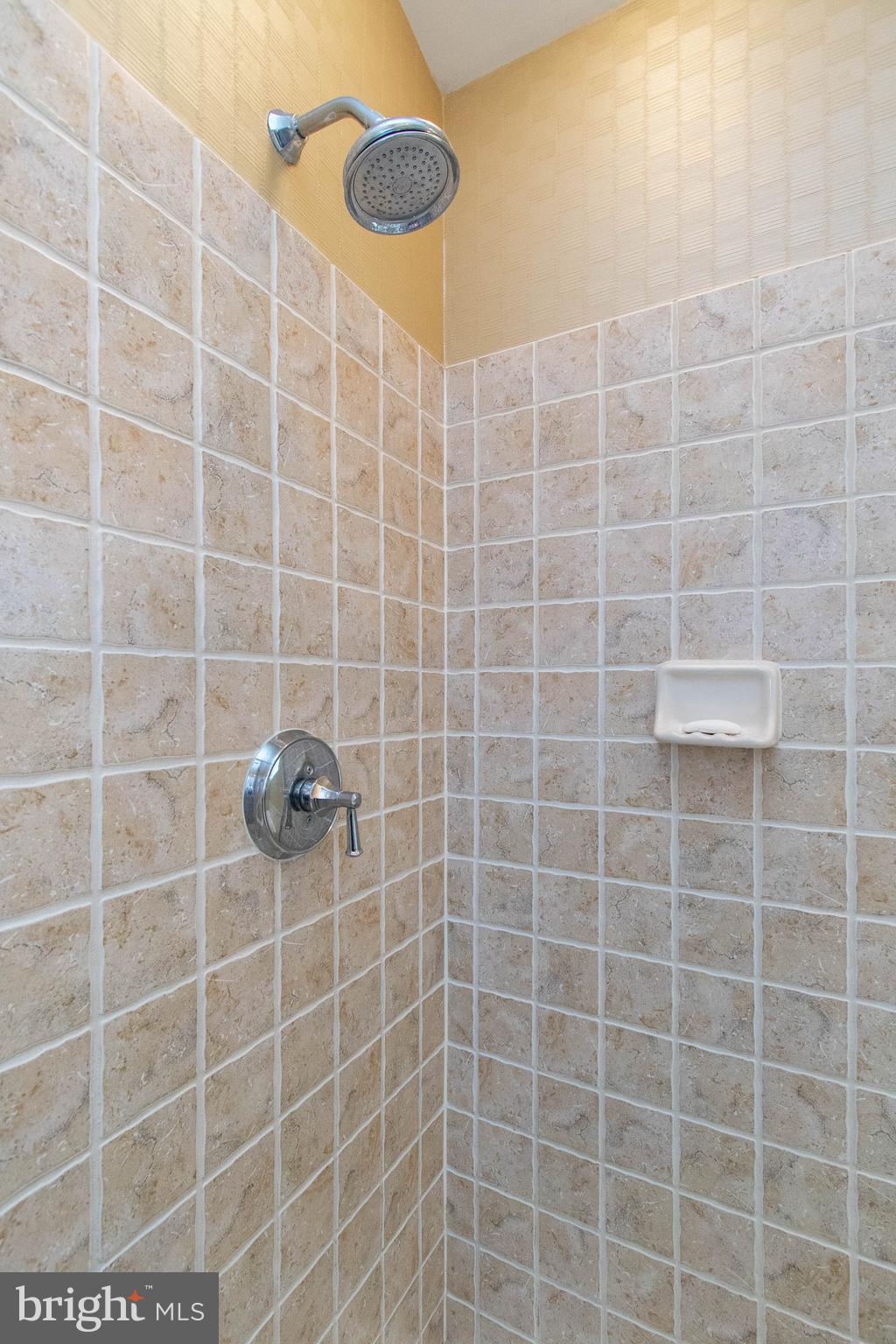 9185 Ribbon Falls Loop Bristow, VA 20136 - Photo 21 of 34 Master Bath with Upgraded Tile
