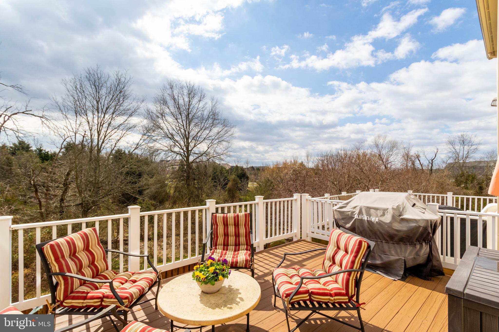 9185 Ribbon Falls Loop Bristow, VA 20136 - Photo 30 of 34 Spacious Open-Air Deck with Serene Treed Views
