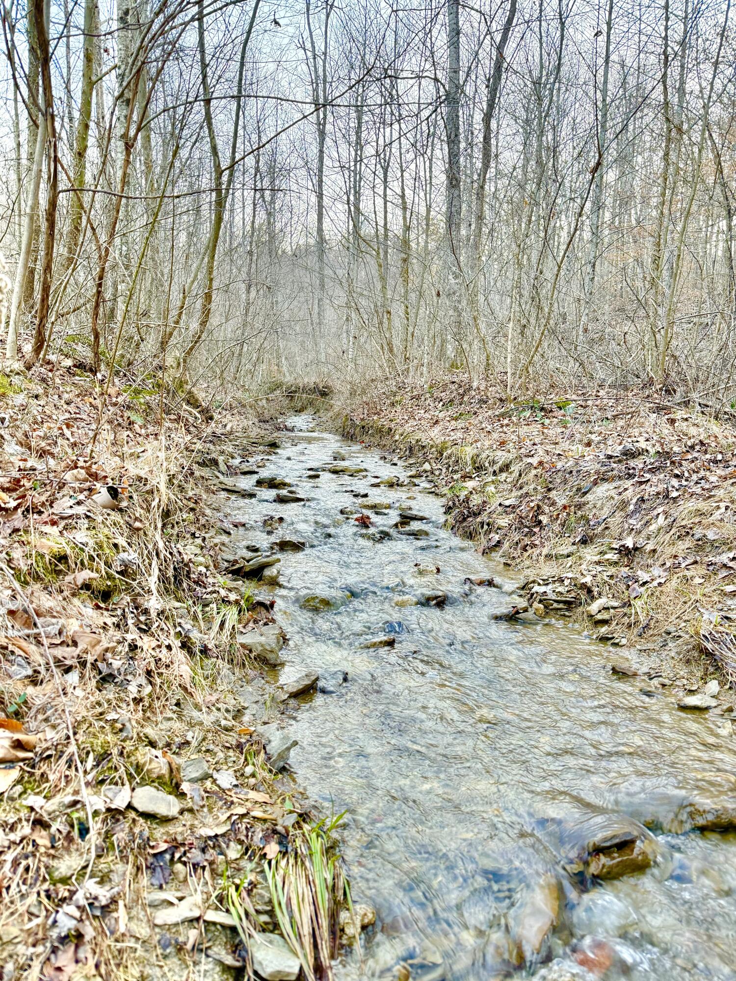 0 Sam Baughman Road Stanford, KY 40484 - Photo 9 of 27 FullSizeRender
