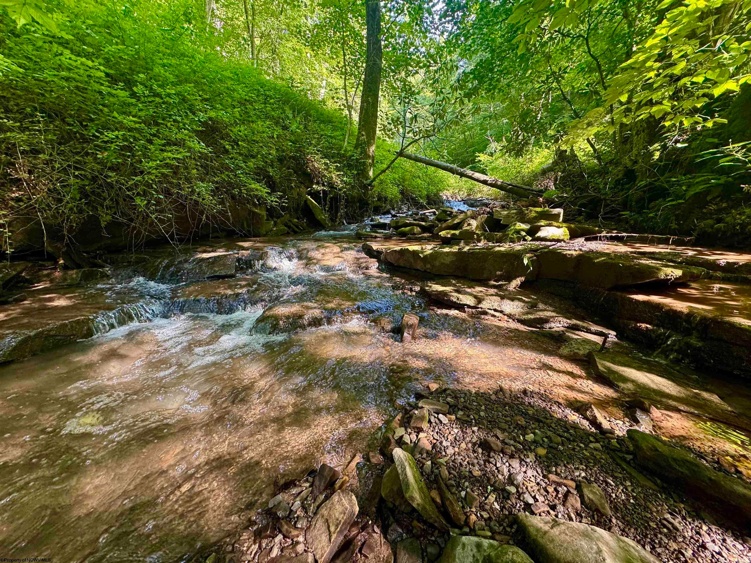 Tbd Red Rock Road Rowlesburg, WV 26425 - Photo 45 of 46 Gallery Image 45