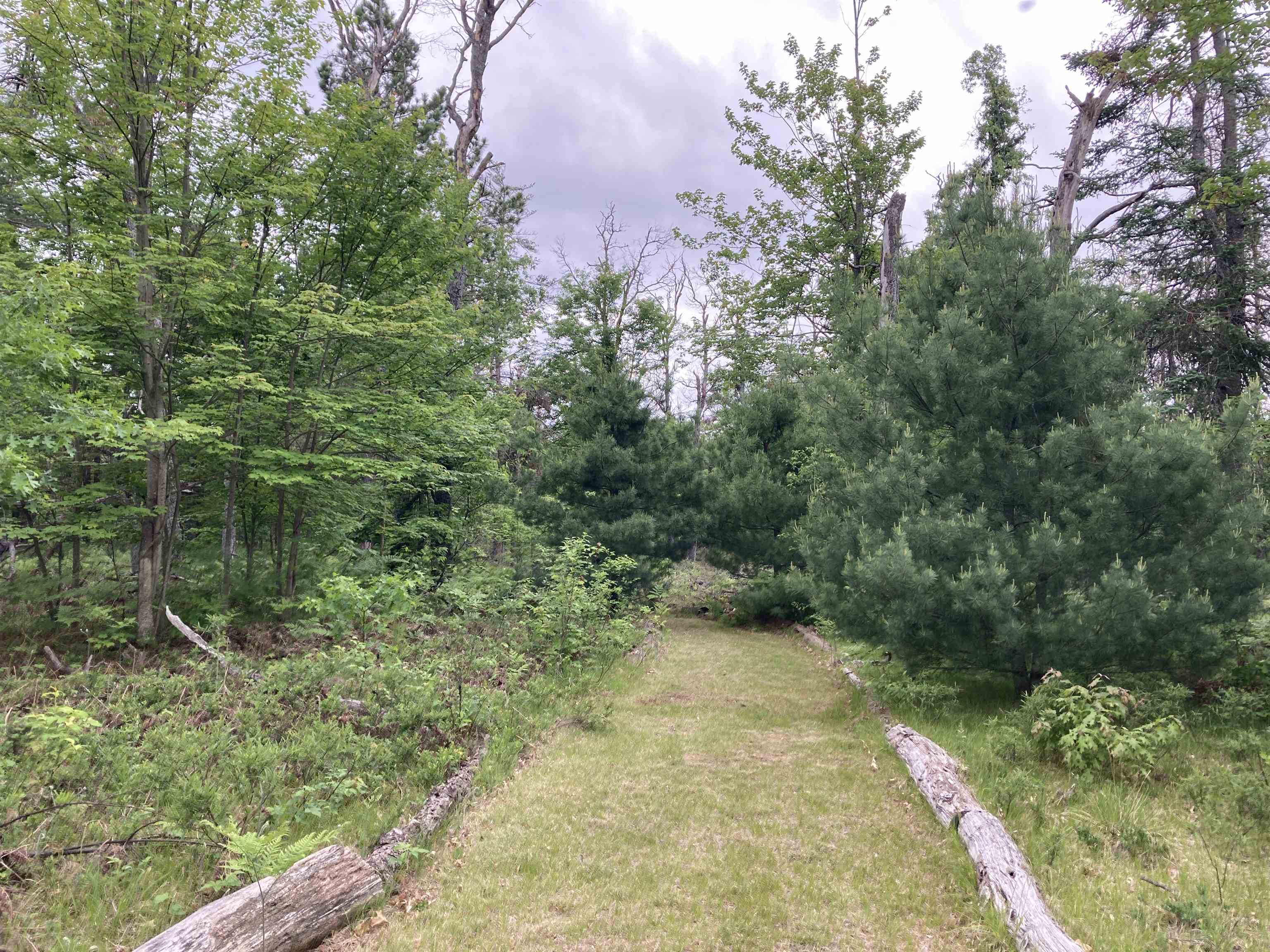 1875 Richardson Road Lewiston, MI 49756 - Photo 14 of 53