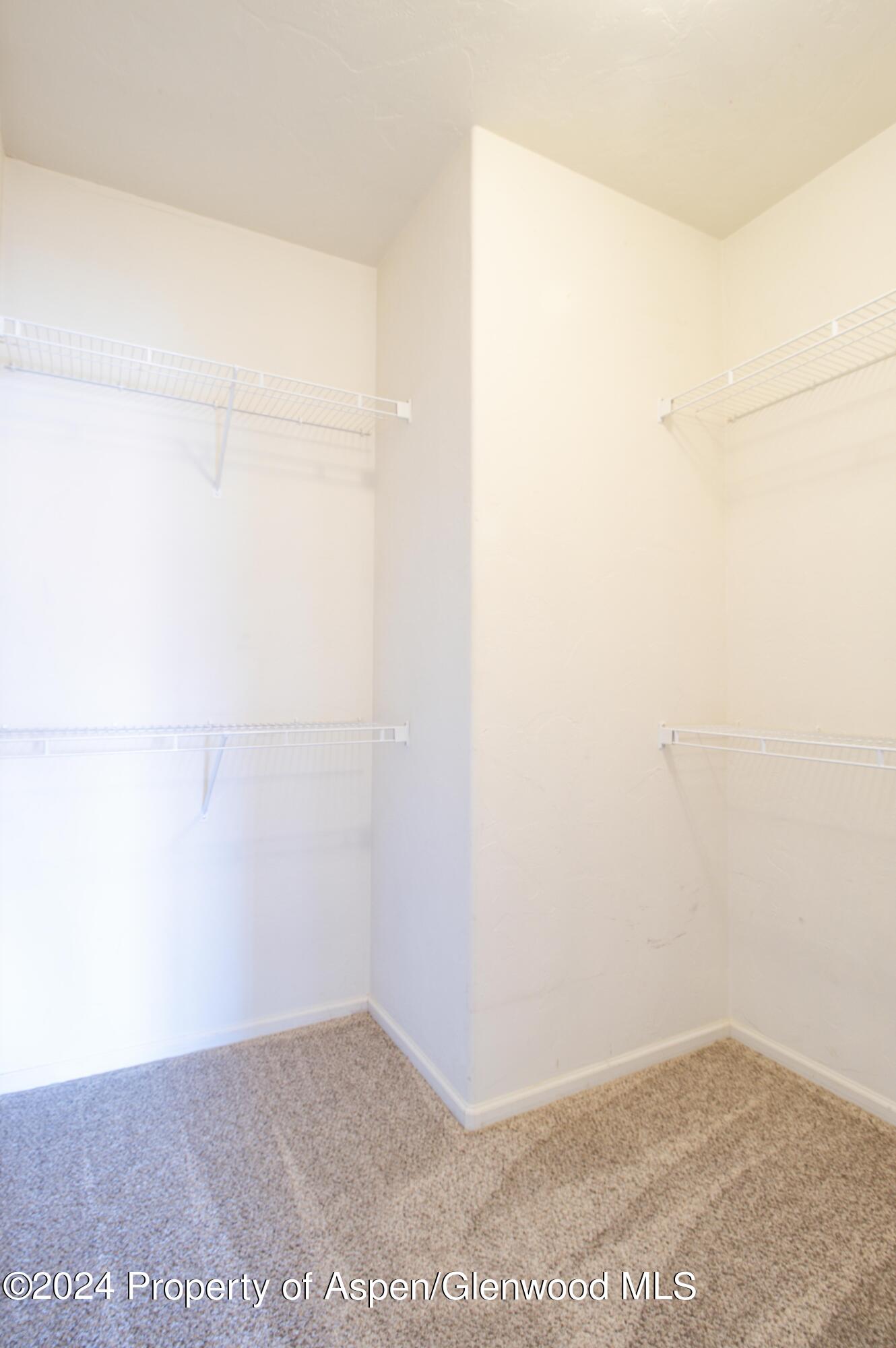 189 Rio Bravo Road Silt, CO 81652 - Photo 15 of 32 bedroom suite 1 - closet
