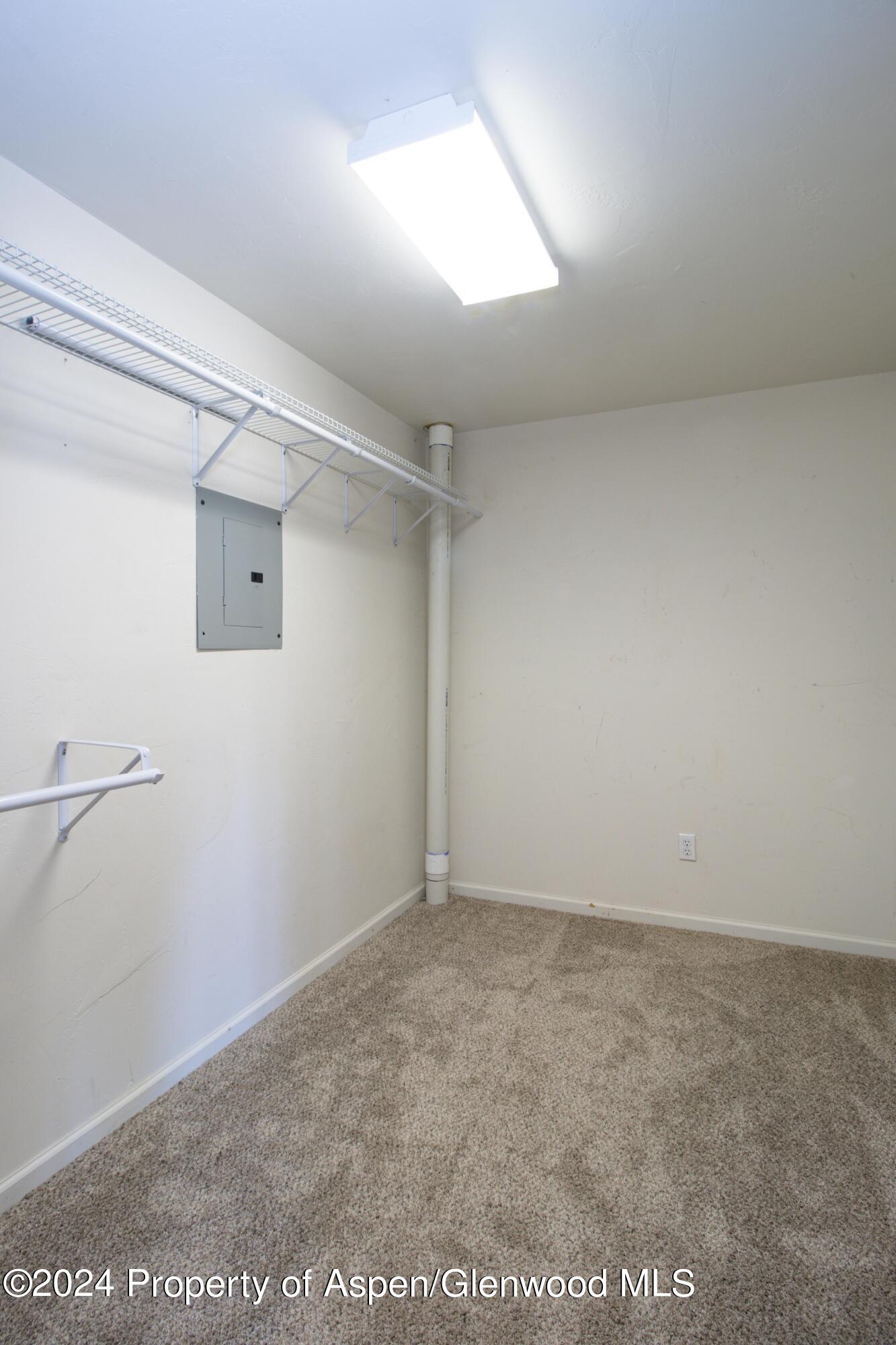 189 Rio Bravo Road Silt, CO 81652 - Photo 21 of 32 lower level closet
