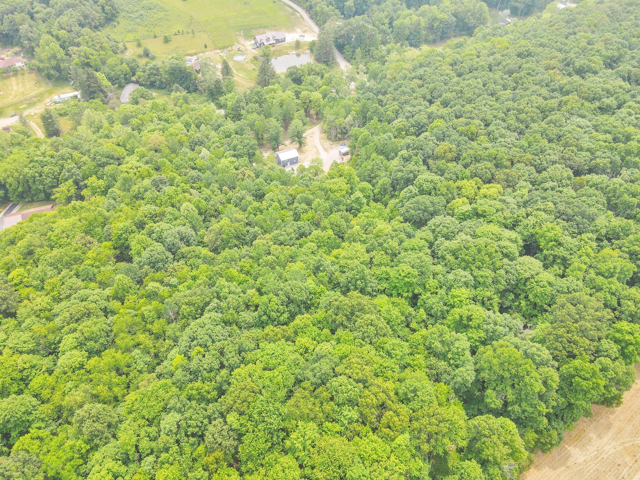 3997 Clines Chapel Road Waverly, OH 45690 - Photo 36 of 40 37-web-or-mls-DJI_0767