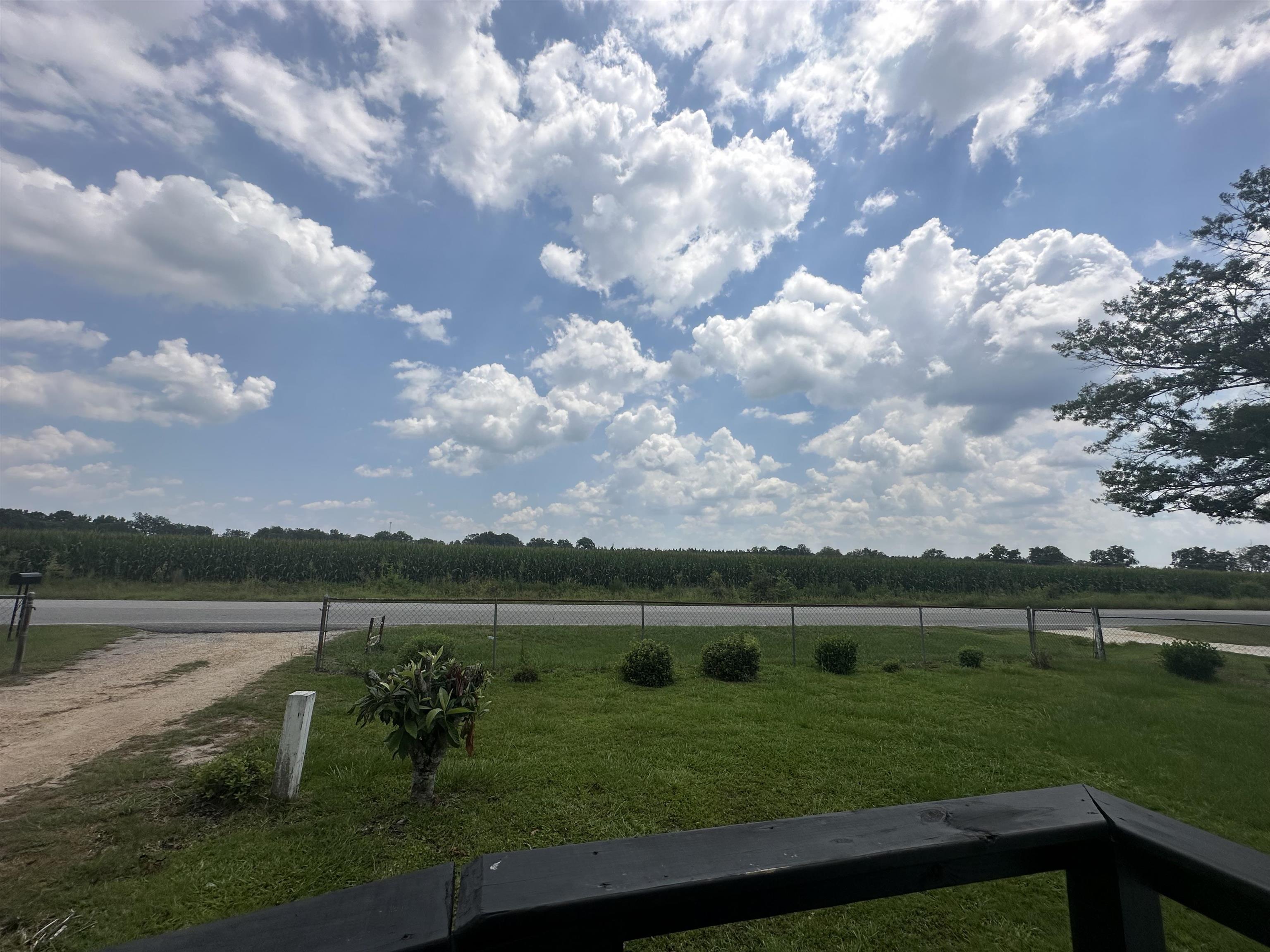 1600 Woods Road Atmore, AL 36502 - Photo 20 of 20 Yard
