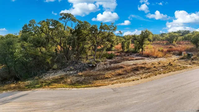 a view of a tree with a yard