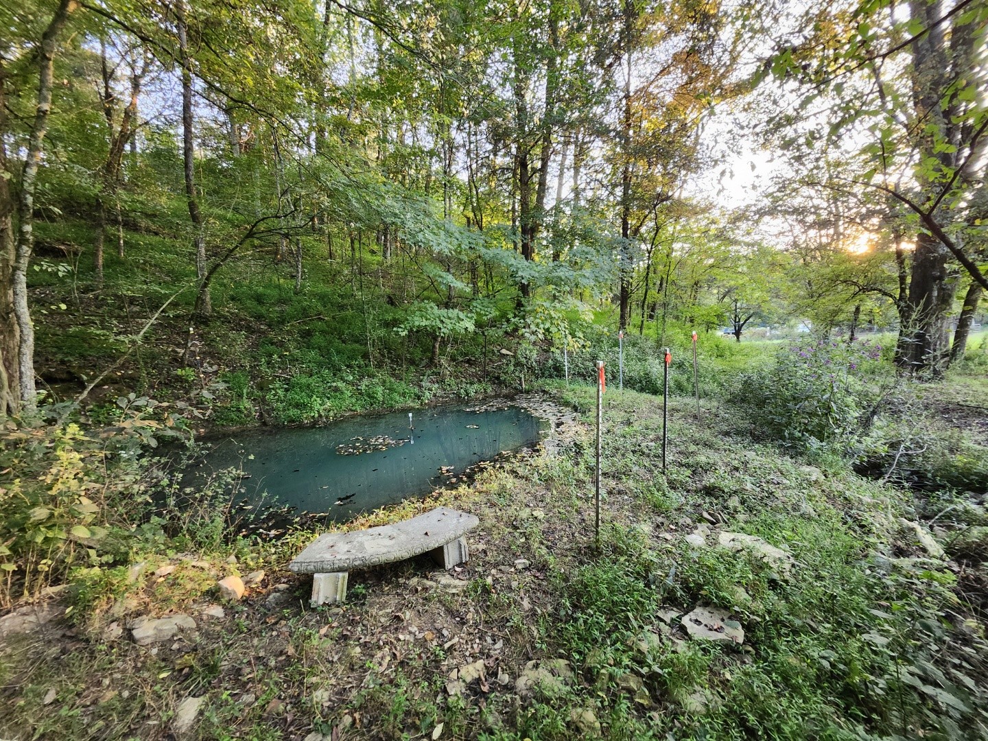 994 Bull Run Road Lynchburg, TN 37352 - Photo 24 of 41
