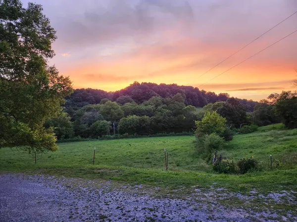 a view of a grassy field with trees in the background