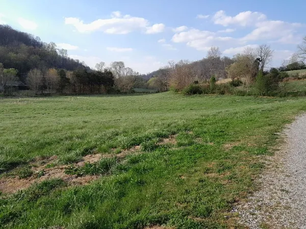 a view of a green field with lots of bushes