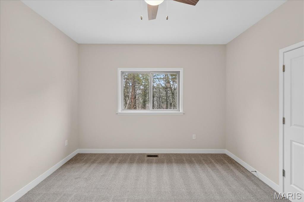 8353 Graham Road Cedar Hill, MO 63016 - Photo 20 of 47