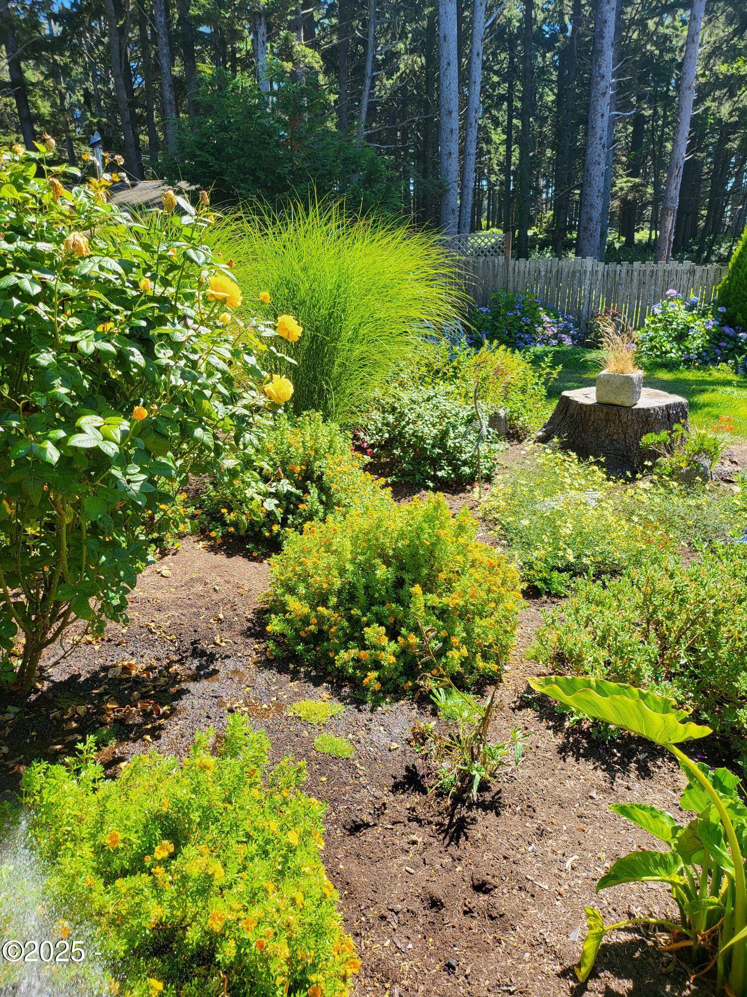 8243 Northwest Coast Road Seal Rock, OR 97376 - Photo 25 of 31 1000001511