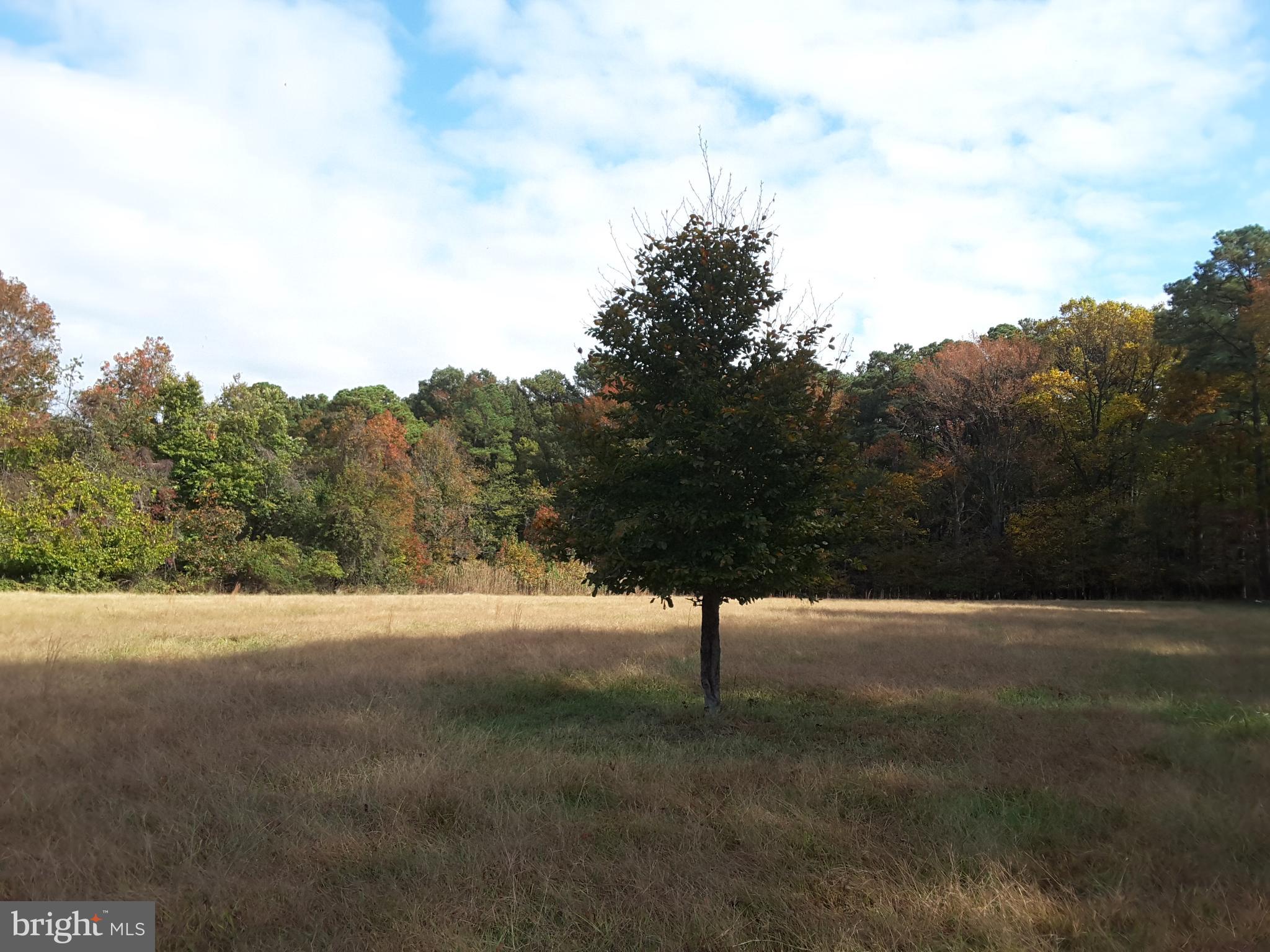 Eastern Neck Road Rock Hall, MD 21661 - Photo 1 of 10 Gallery Image 1