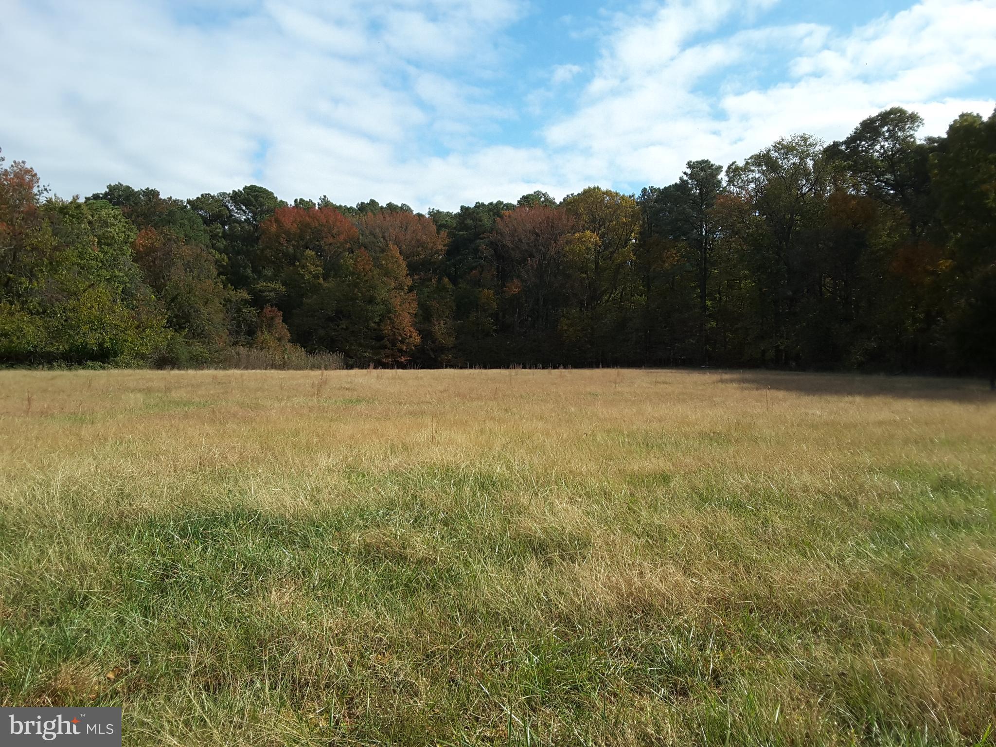 Eastern Neck Road Rock Hall, MD 21661 - Photo 2 of 10 Road Front