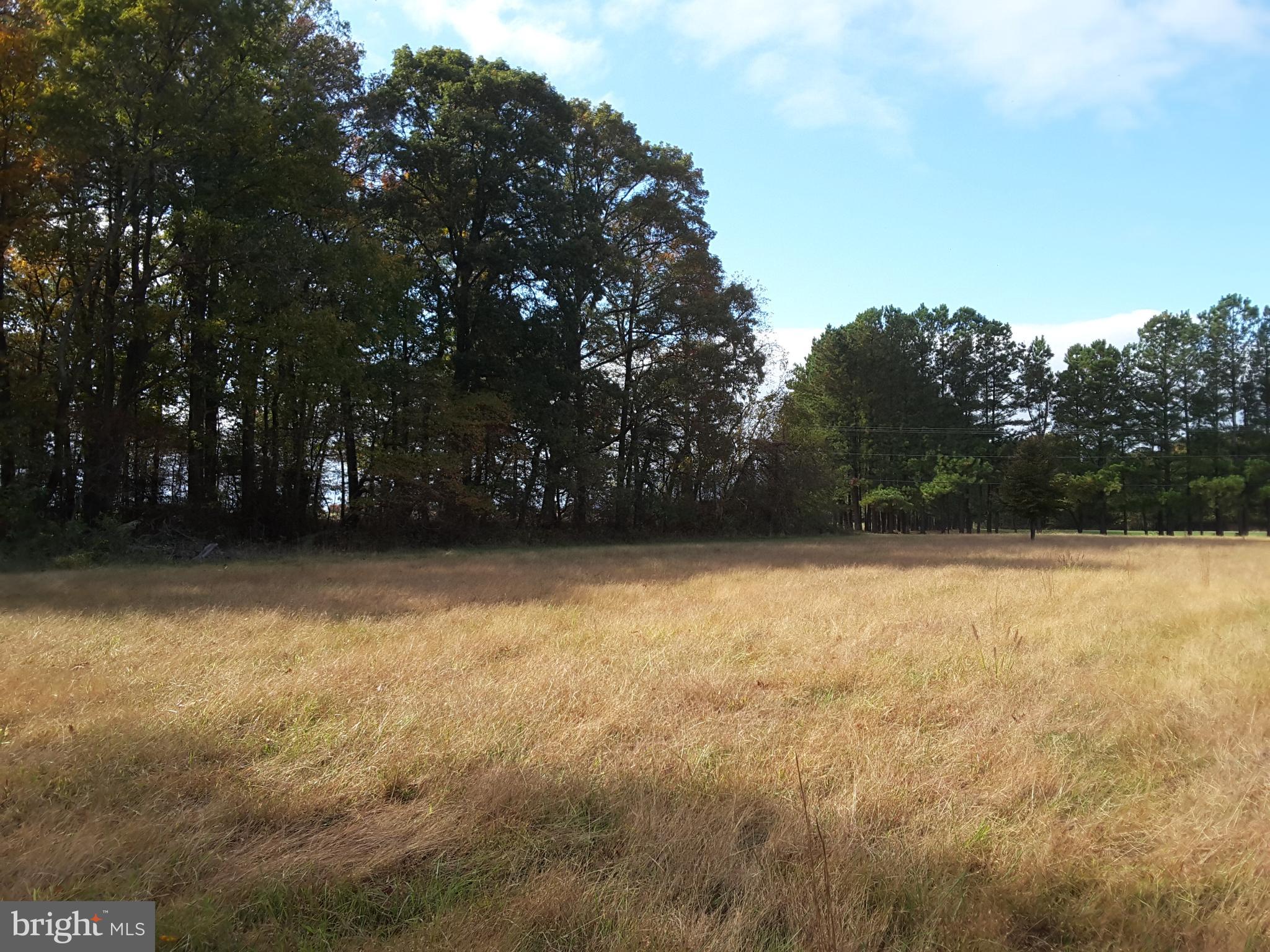 Eastern Neck Road Rock Hall, MD 21661 - Photo 5 of 10 Gallery Image 5
