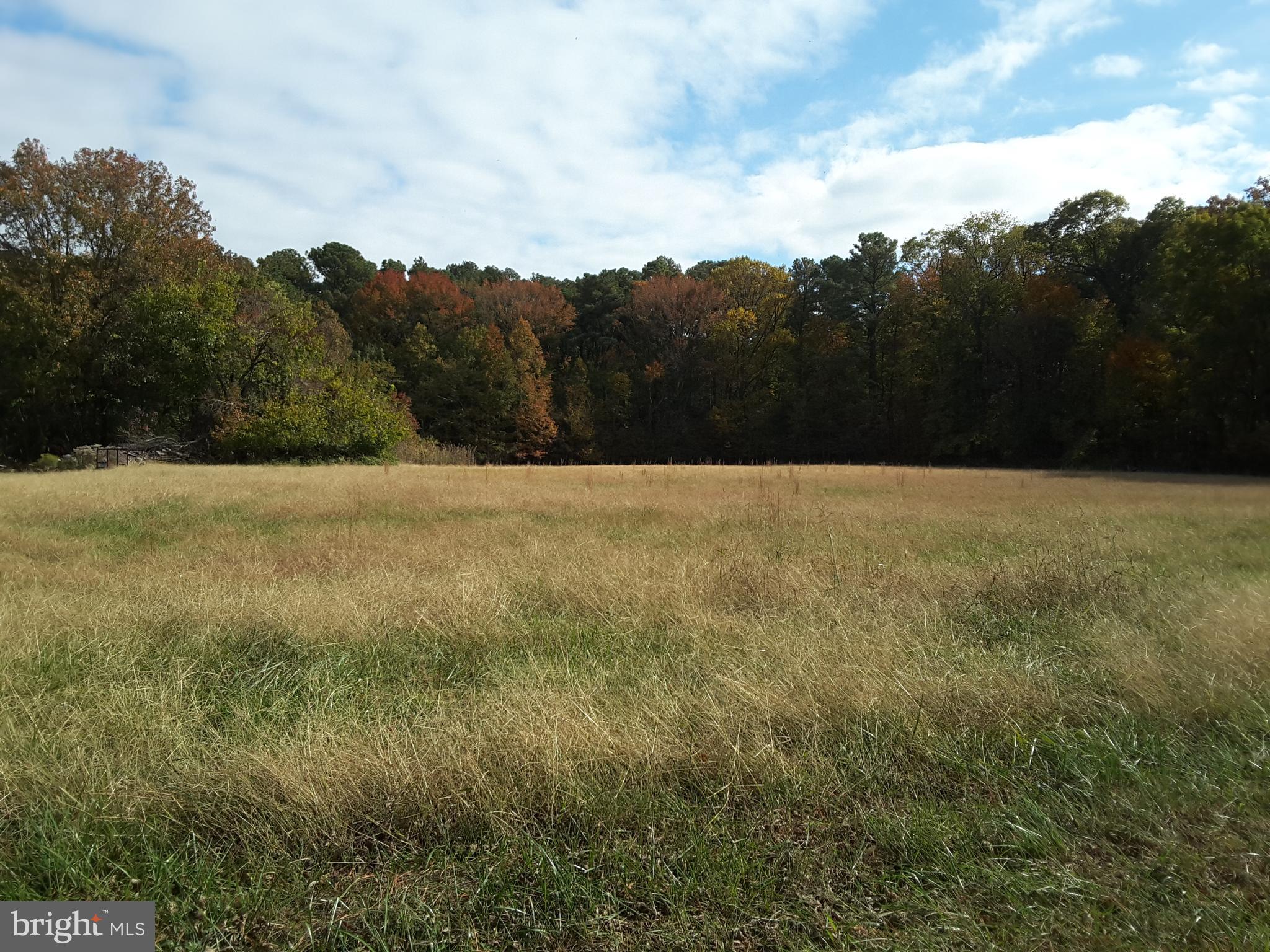 Eastern Neck Road Rock Hall, MD 21661 - Photo 10 of 10 Gallery Image 10