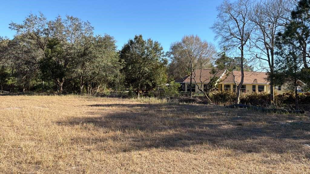 0 North Kraft Road Avon Park, FL 33825 - Photo 4 of 7 a view of dirt yard with a large tree