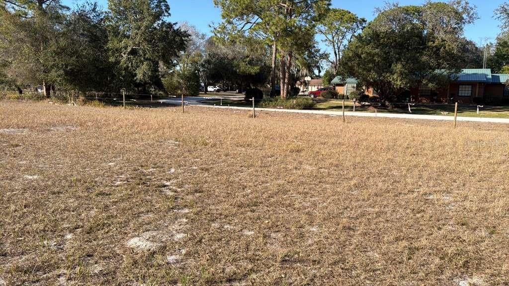 0 North Kraft Road Avon Park, FL 33825 - Photo 5 of 7 a view of road with trees
