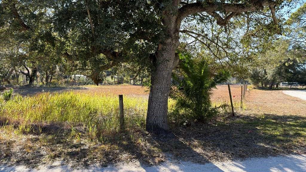 0 North Kraft Road Avon Park, FL 33825 - Photo 7 of 7 a view of yard with trees