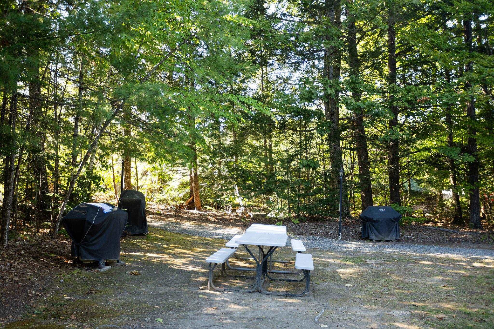 118 Weirs Road, Unit 215 Gilford, NH 03249 - Photo 21 of 45 Gallery Image 21