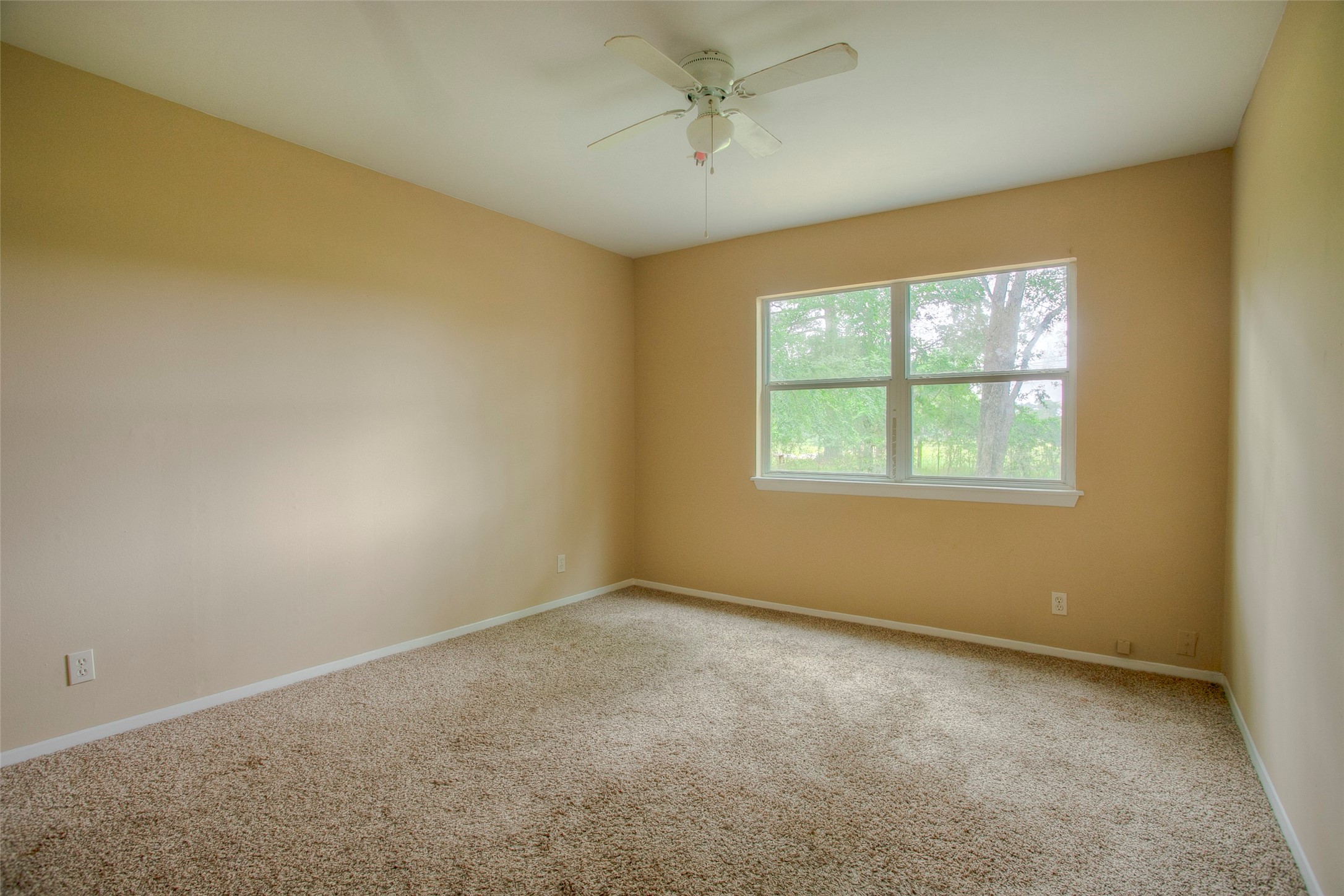81 Westlake Road Trinity, TX 75862 - Photo 16 of 23 an empty room with a window