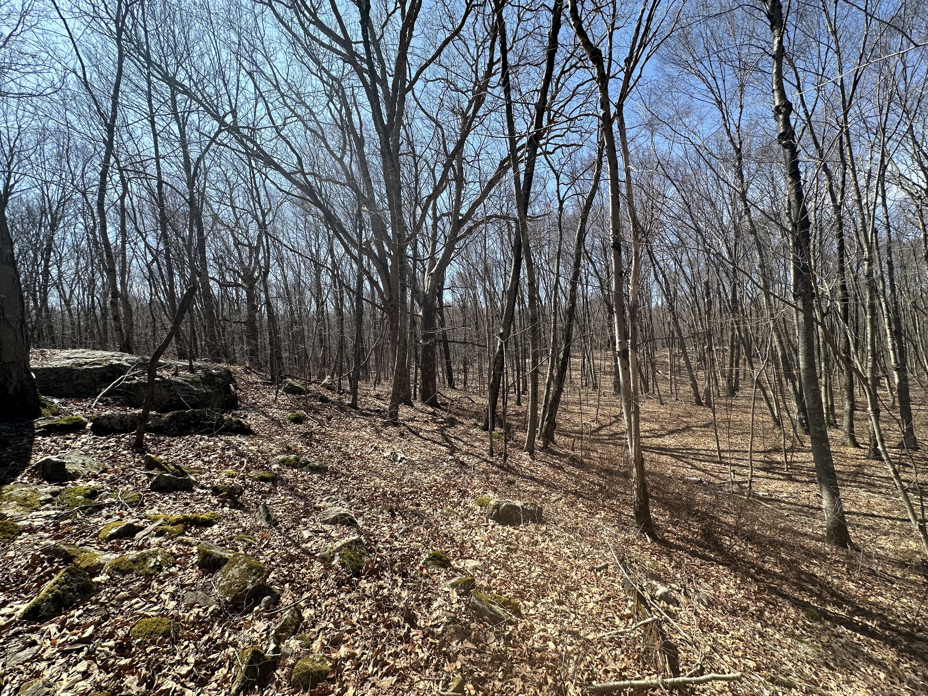 0 Cowles Road Woodbury, CT 06798 - Photo 5 of 12