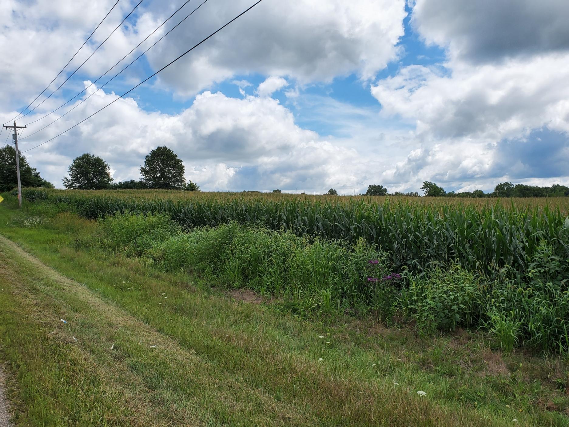 1 State Rte 521 Sunbury, OH 43074 - Photo 12 of 12