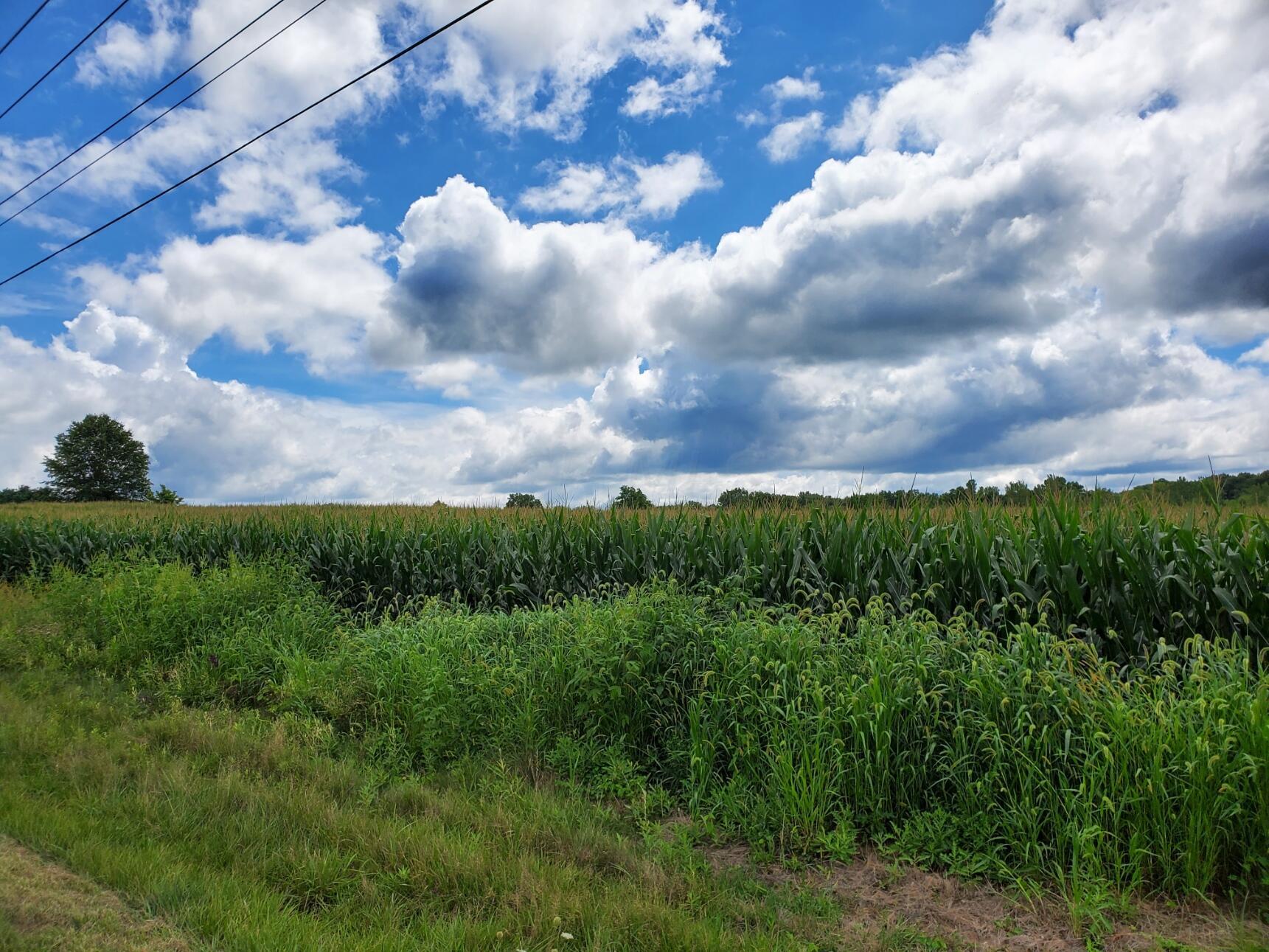 1 State Rte 521 Sunbury, OH 43074 - Photo 2 of 12