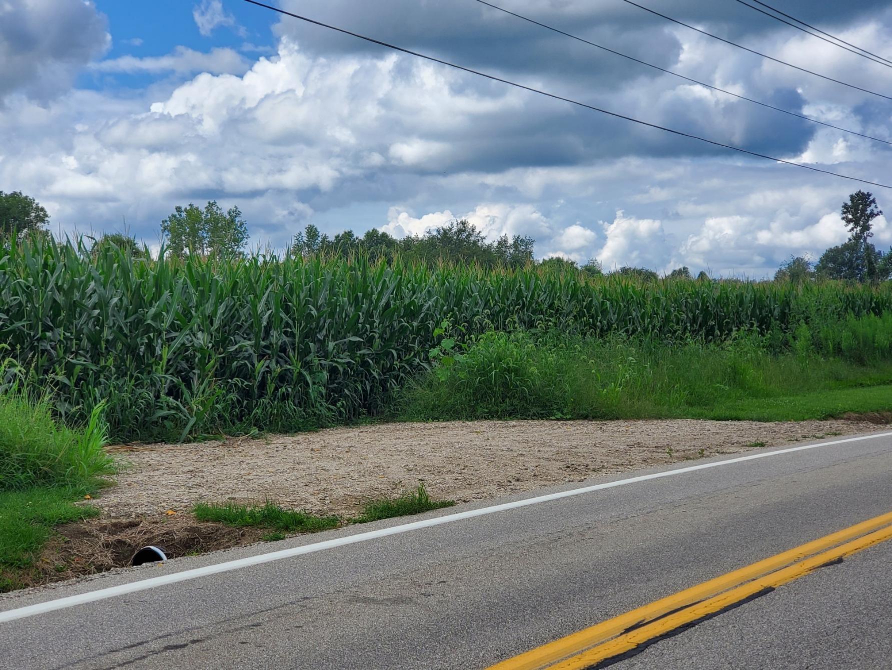 1 State Rte 521 Sunbury, OH 43074 - Photo 3 of 12