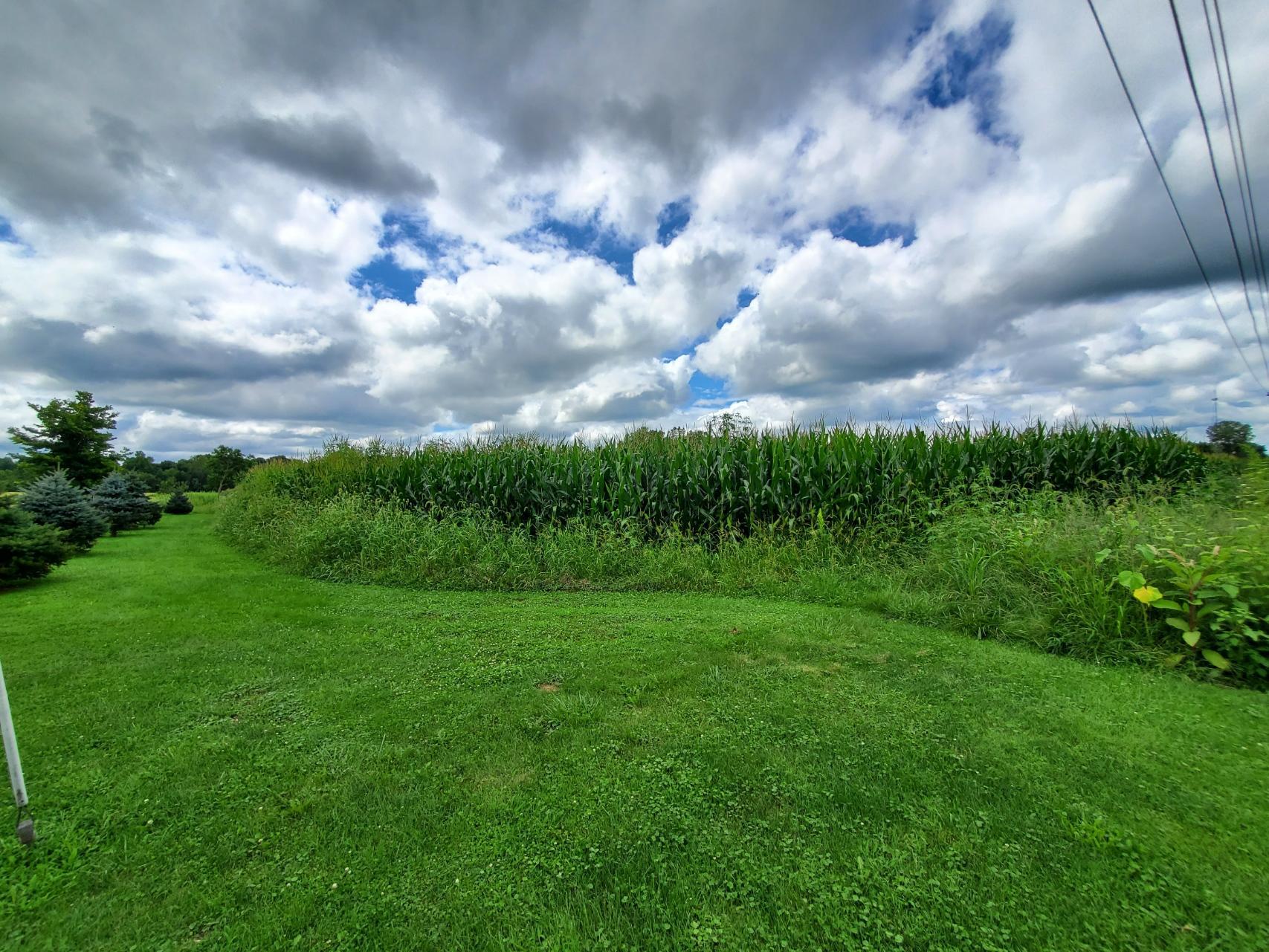 1 State Rte 521 Sunbury, OH 43074 - Photo 8 of 12