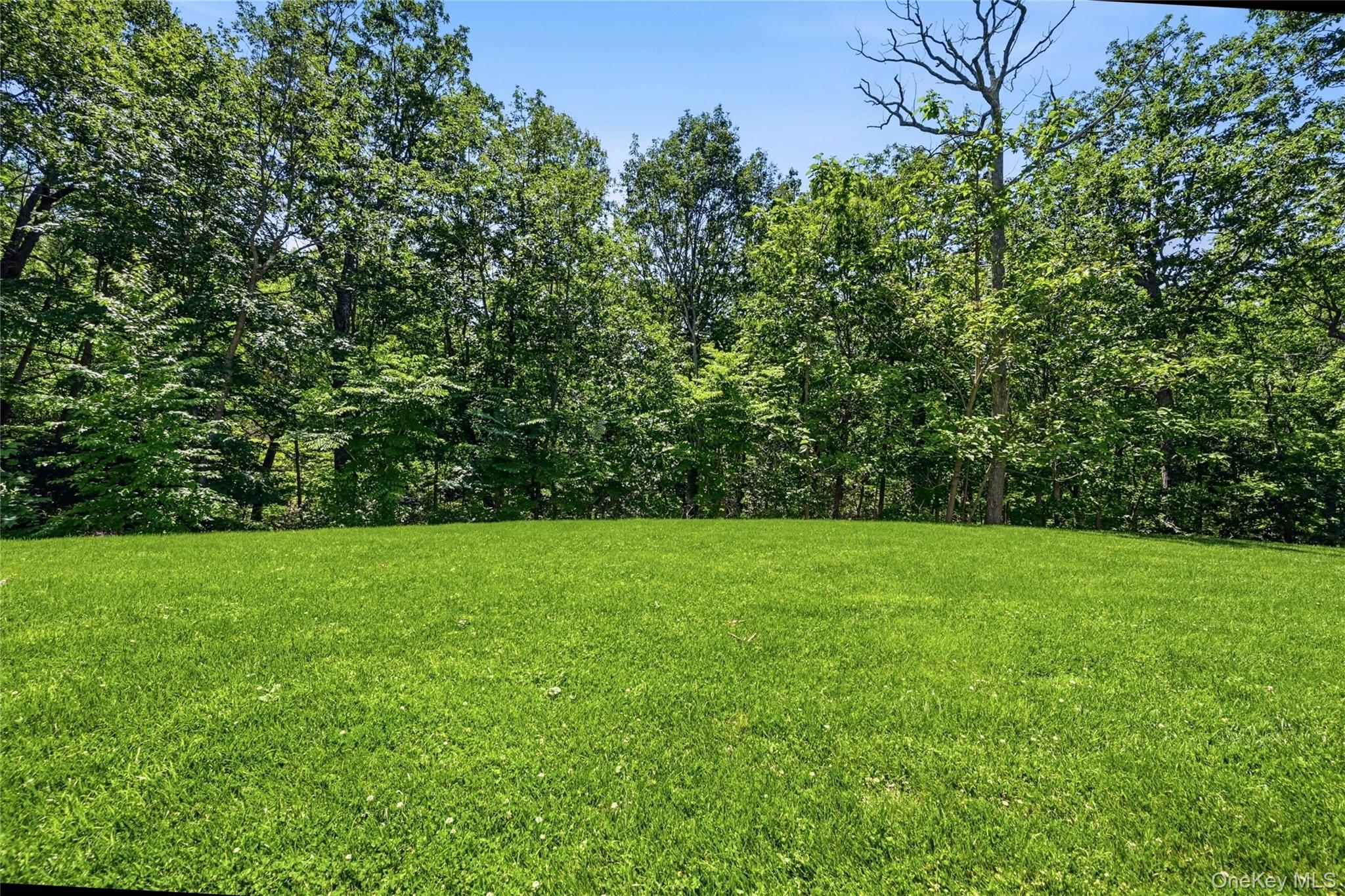 1330 Ridge Road Laurel Hollow, NY 11791 - Photo 42 of 47 2 Acres Room For A Pool