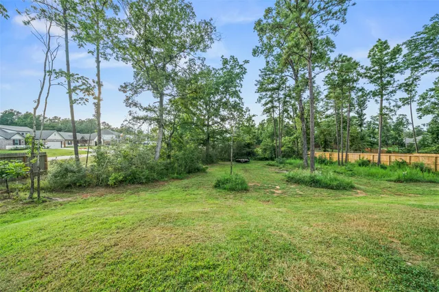 a view of a park with large trees