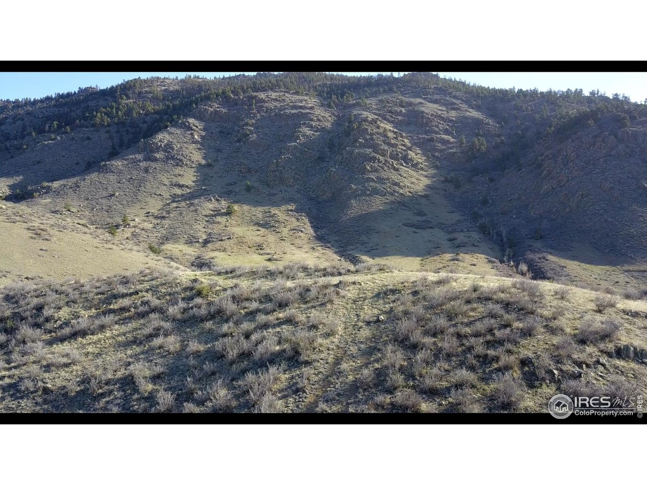 14750 Buckhorn Road Loveland, CO 80538 - Photo 11 of 39 a view of a backyard