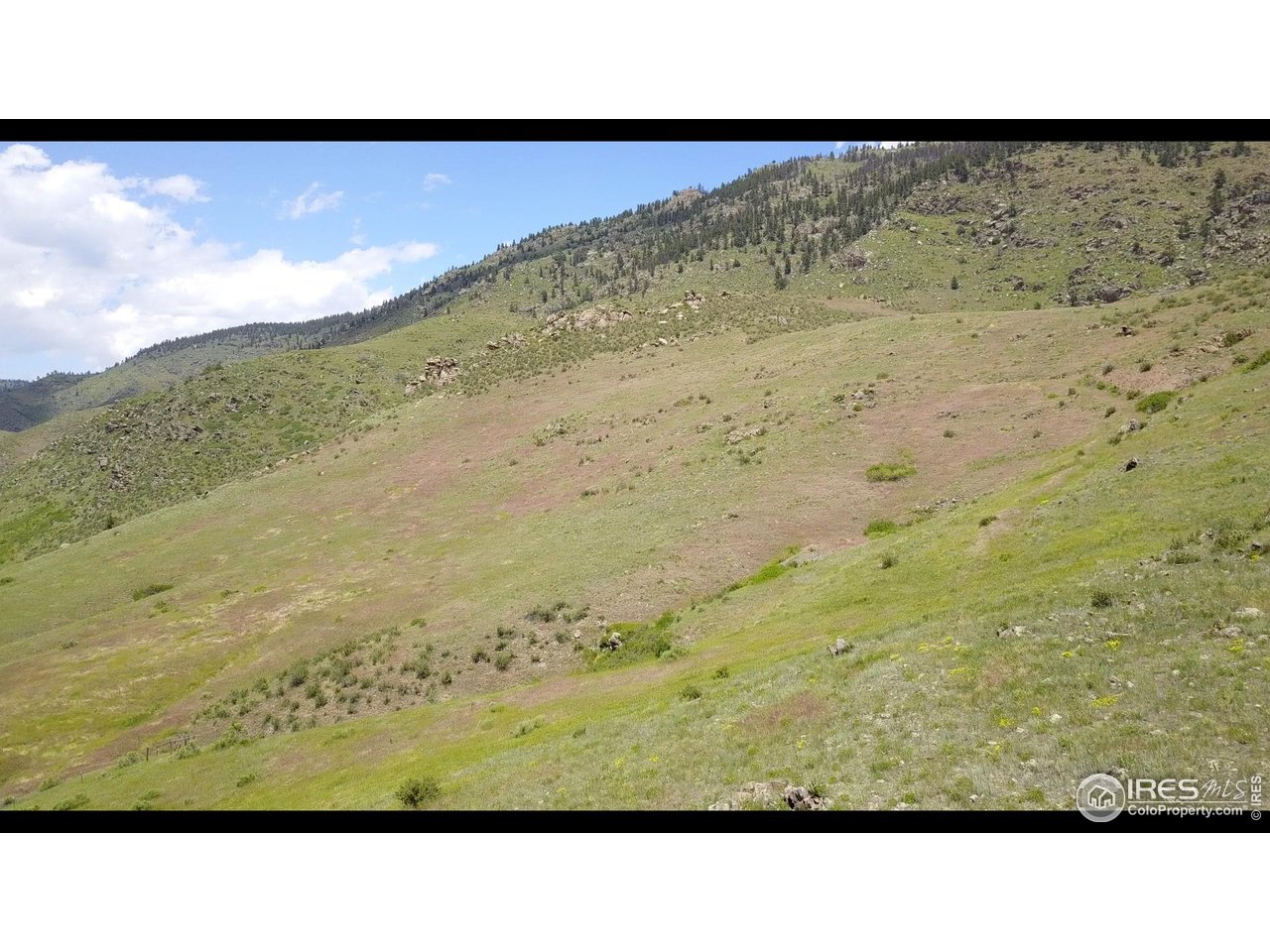 14750 Buckhorn Road Loveland, CO 80538 - Photo 14 of 39 a view of a beach