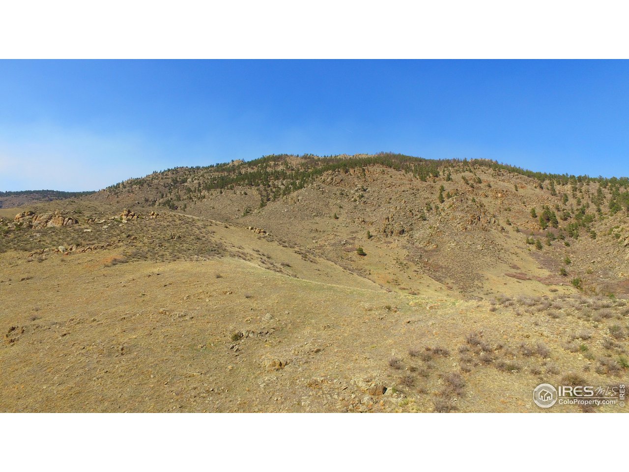 14750 Buckhorn Road Loveland, CO 80538 - Photo 15 of 39 a open area with mountains in the background