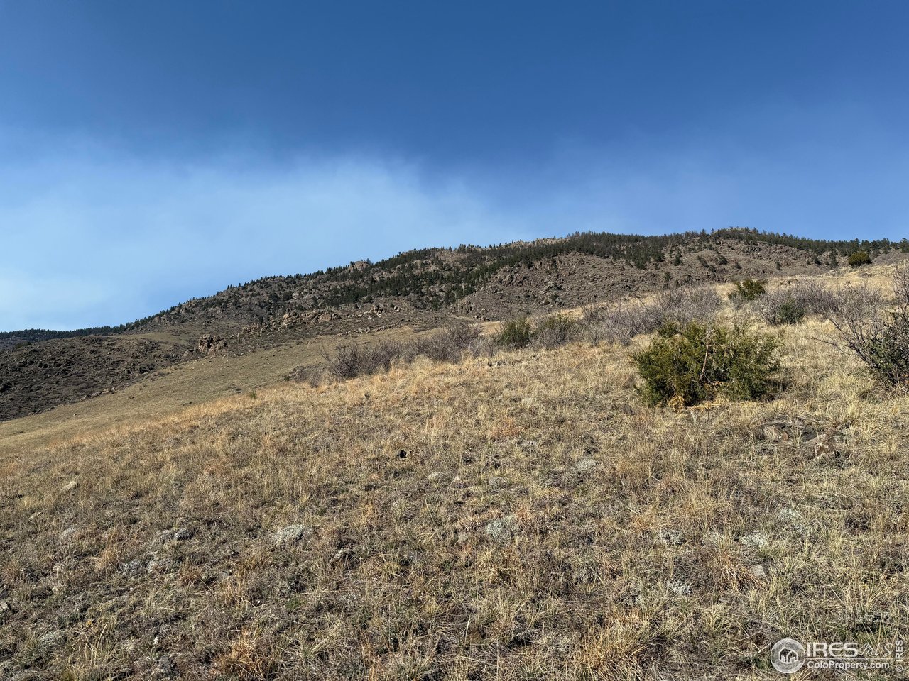 14750 Buckhorn Road Loveland, CO 80538 - Photo 20 of 39 a view of a snow on the mountain