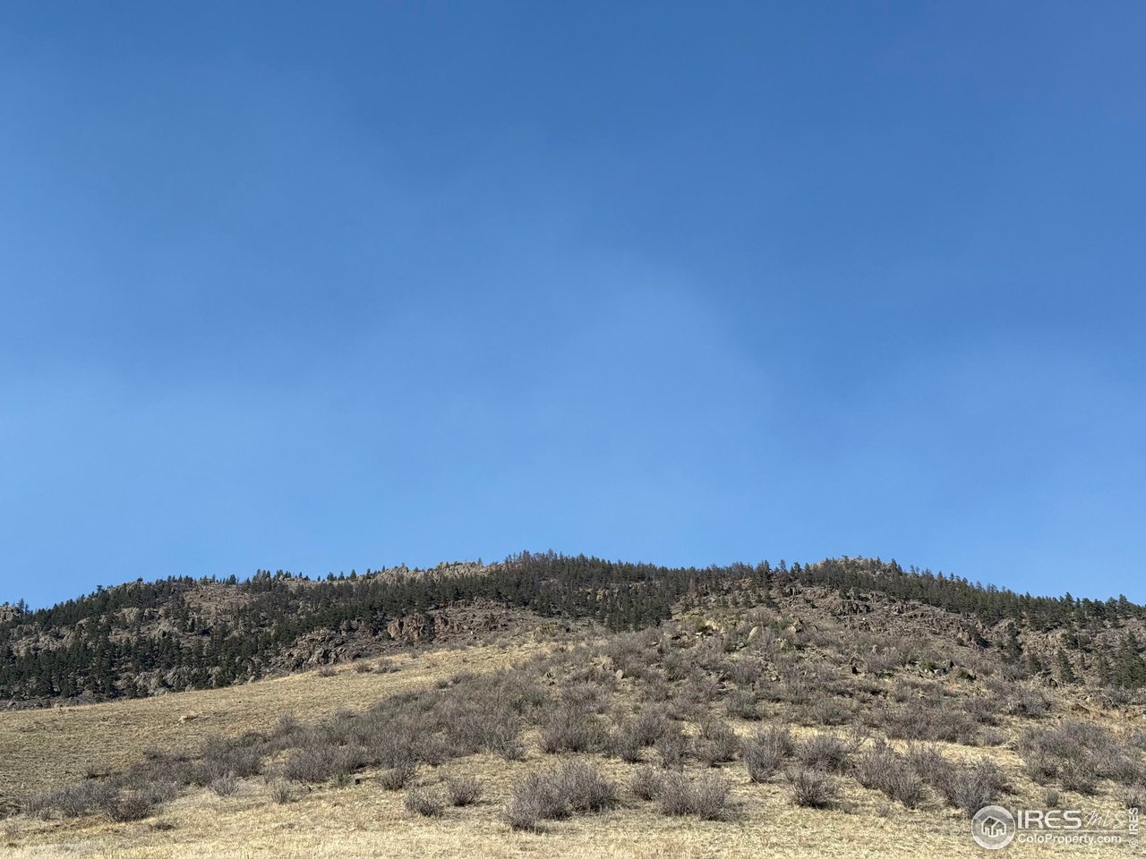 14750 Buckhorn Road Loveland, CO 80538 - Photo 22 of 39 a view of mountain view with mountain