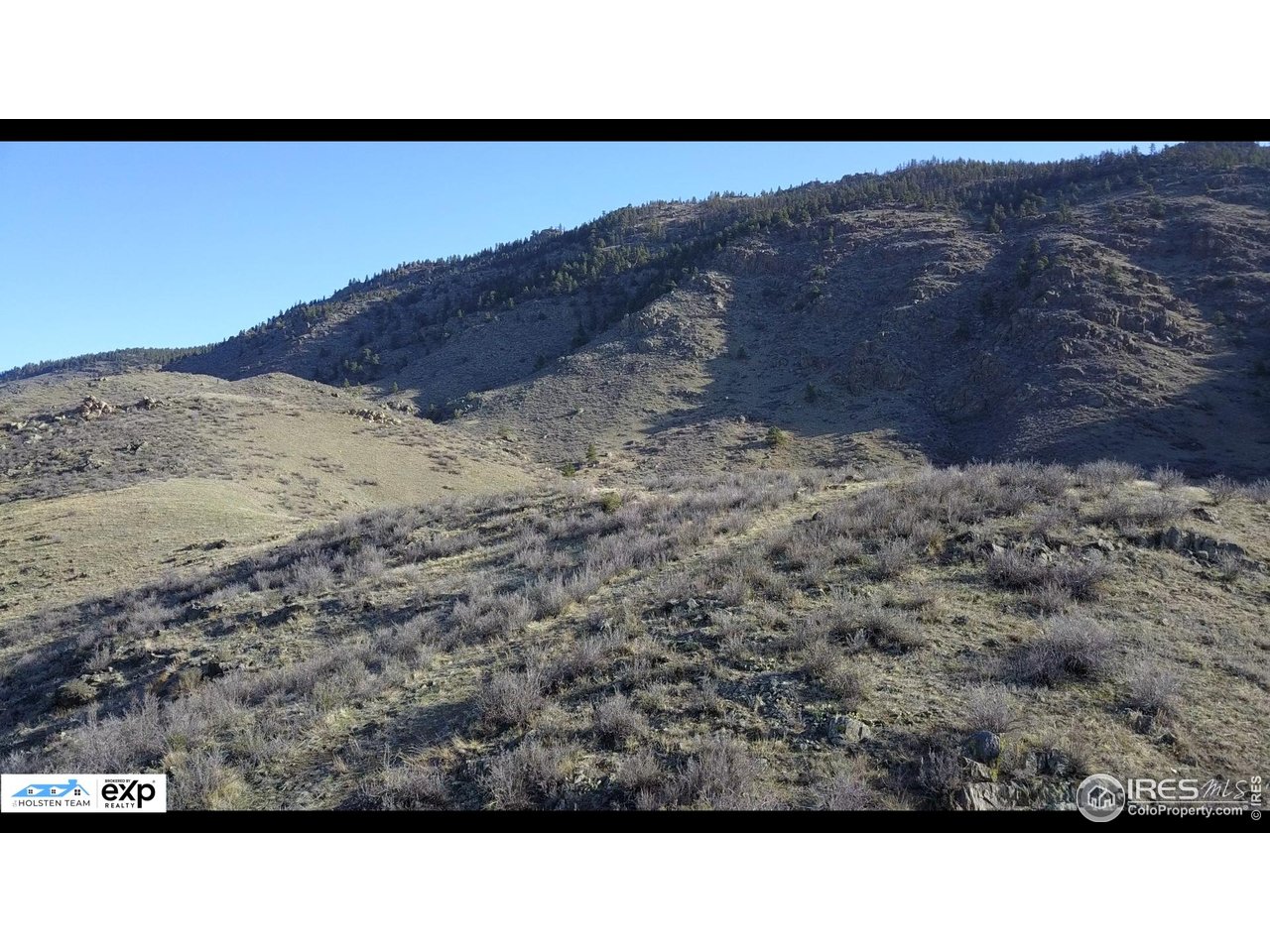 14750 Buckhorn Road Loveland, CO 80538 - Photo 35 of 39 a open area with a yard