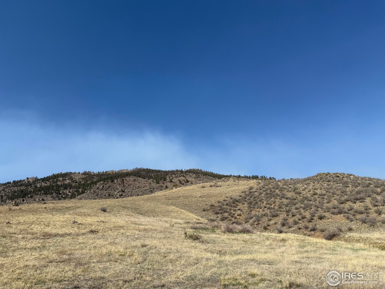 14750 Buckhorn Road Loveland, CO 80538 - Photo 9 of 39 a view of ocean view with mountain