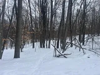 $2,500 | 9980 Red Deer Court, Unit 577, Canadian Lakes, MI 49346