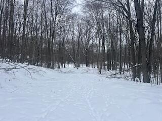 9980 Red Deer Court, Unit 577 Canadian Lakes, MI 49346 - Photo 2 of 4 IMG_1897