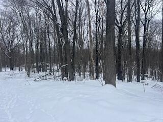 9980 Red Deer Court, Unit 577 Canadian Lakes, MI 49346 - Photo 3 of 4 IMG_1896