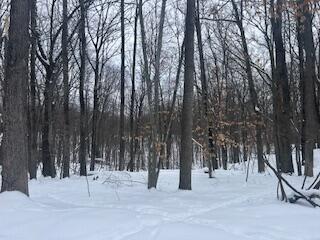 9980 Red Deer Court, Unit 577 Canadian Lakes, MI 49346 - Photo 4 of 4 IMG_1895